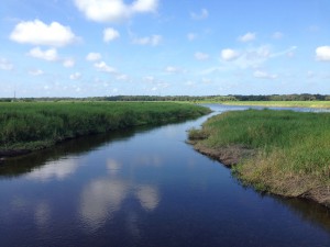 Myakka River State Park