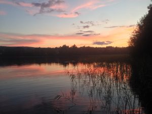 Vacker natur vid Sidsjön